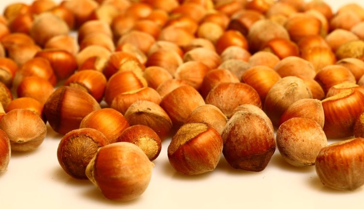 yapay gida endustrisi gercekleri gormezden gelmekten vazgecin